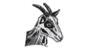 2.webp