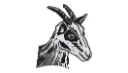 2.webp