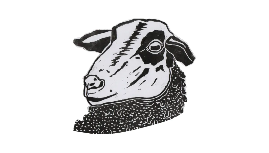 1.webp