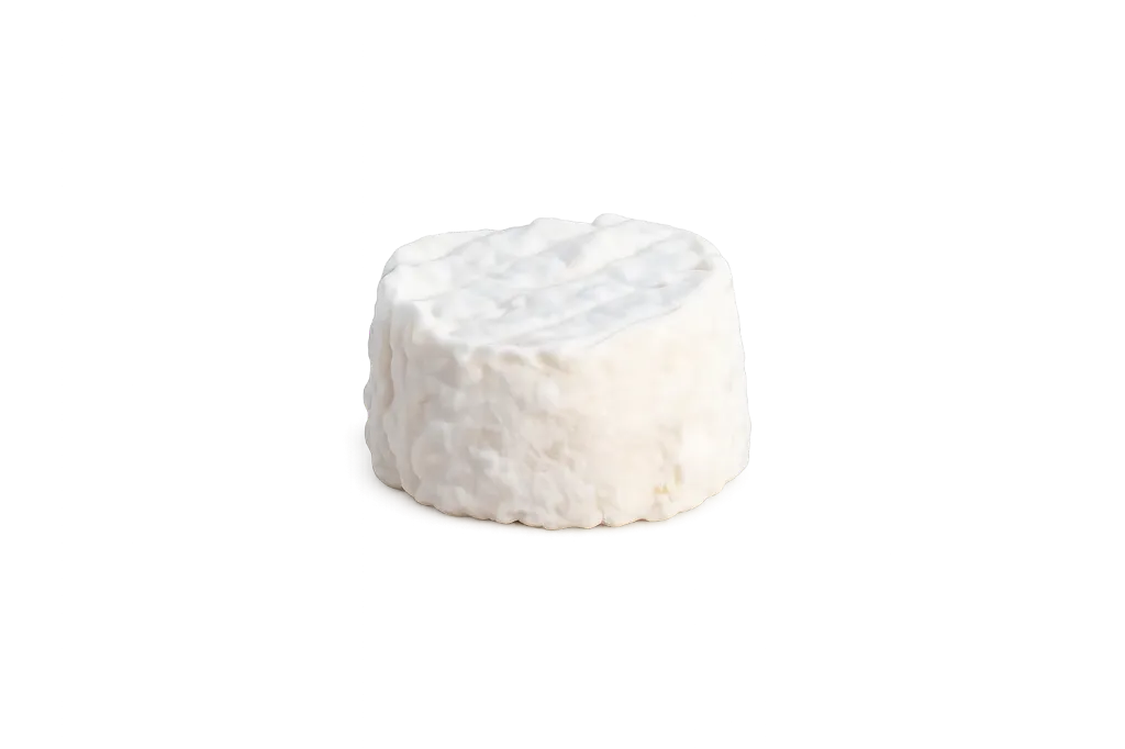 Crottin chèvre
