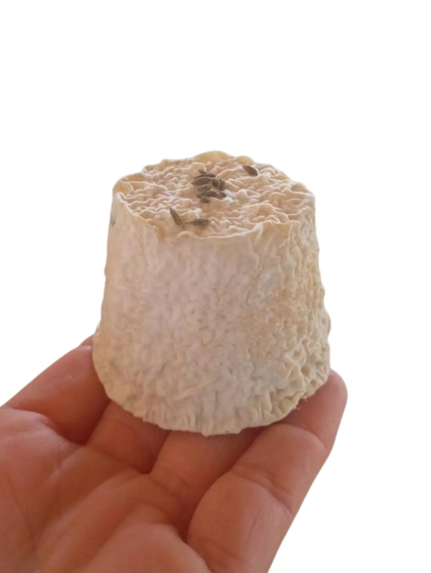 Petit chèvre au cumin